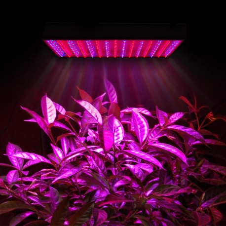 LED especial para crecimiento de plantas